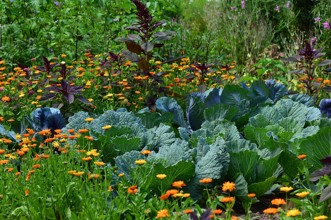Quelles sont les meilleures plantes et légumes à planter en mai dans votre jardin?