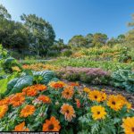 Que peut-on planter dès le mois d’avril au jardin ?