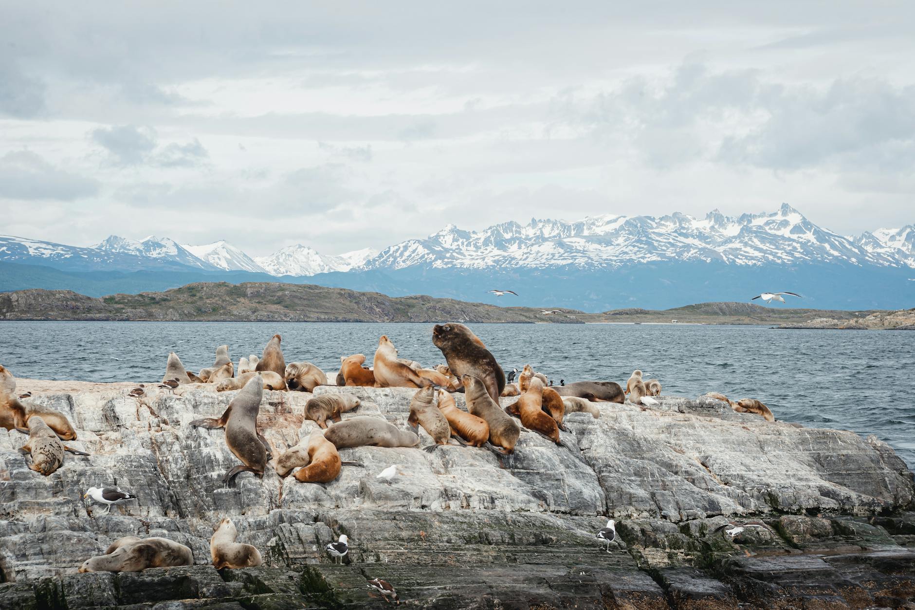 Patagonie : à quelle saison partir, ce que j'ai appris avant mon voyage