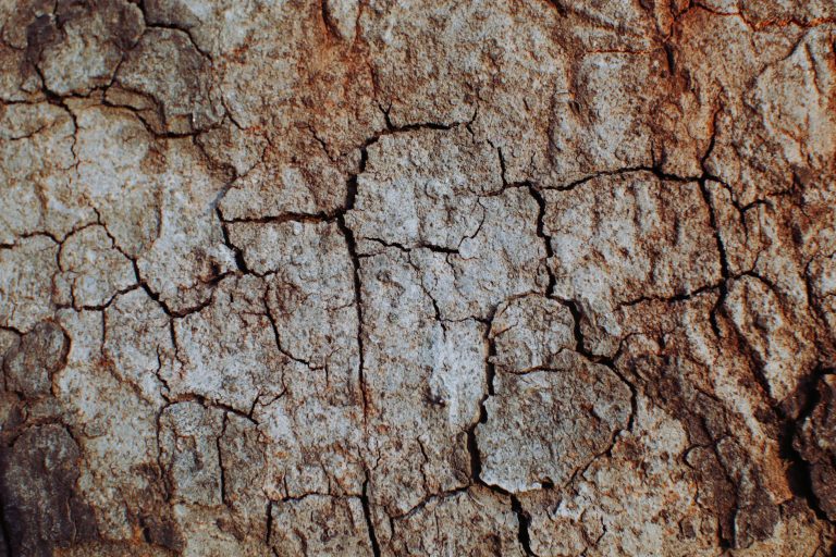 comment reperer les fissures sur vos murs exterieurs et comment les reparer